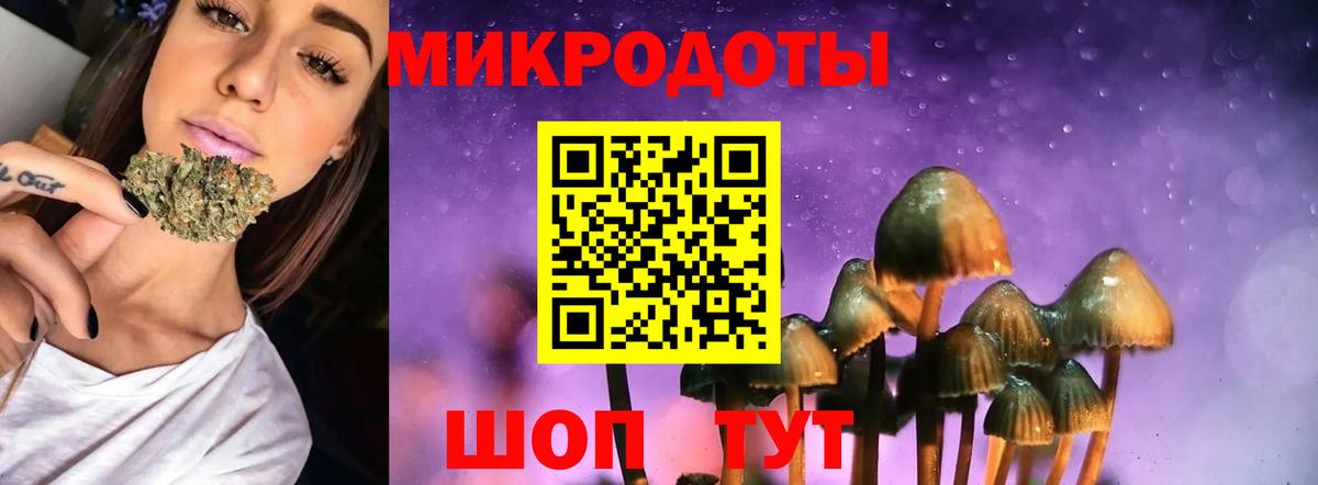 наркотики  Вход с VPN  Гусиноозёрск  Галлюциногенные грибы Psilocybe  Галлюциногенные грибы MAGIC MUSHROOMS 